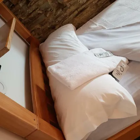 Hostel Savior