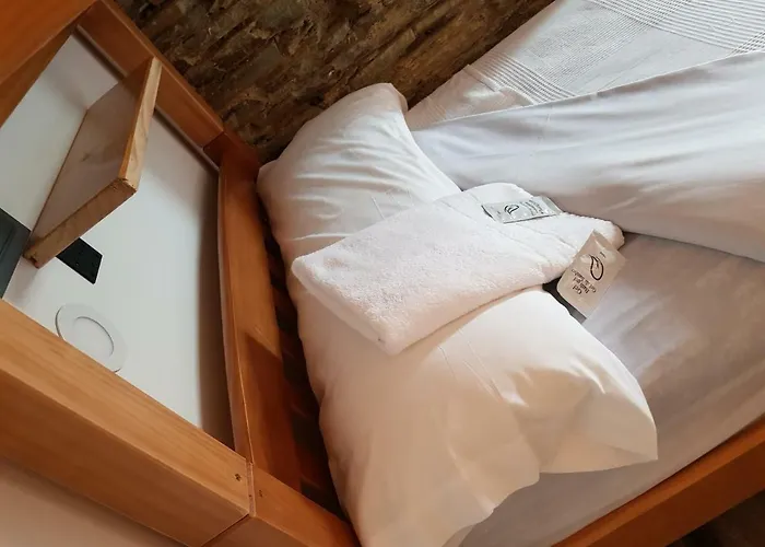 Hostel Savior